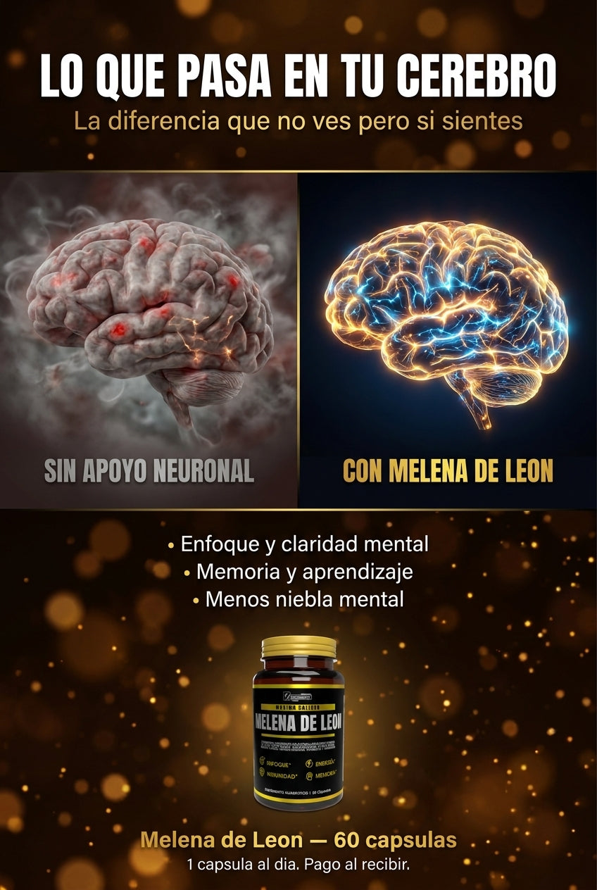 Cerebro